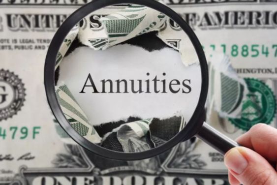 Guide to Annuities: A Steady Income Stream